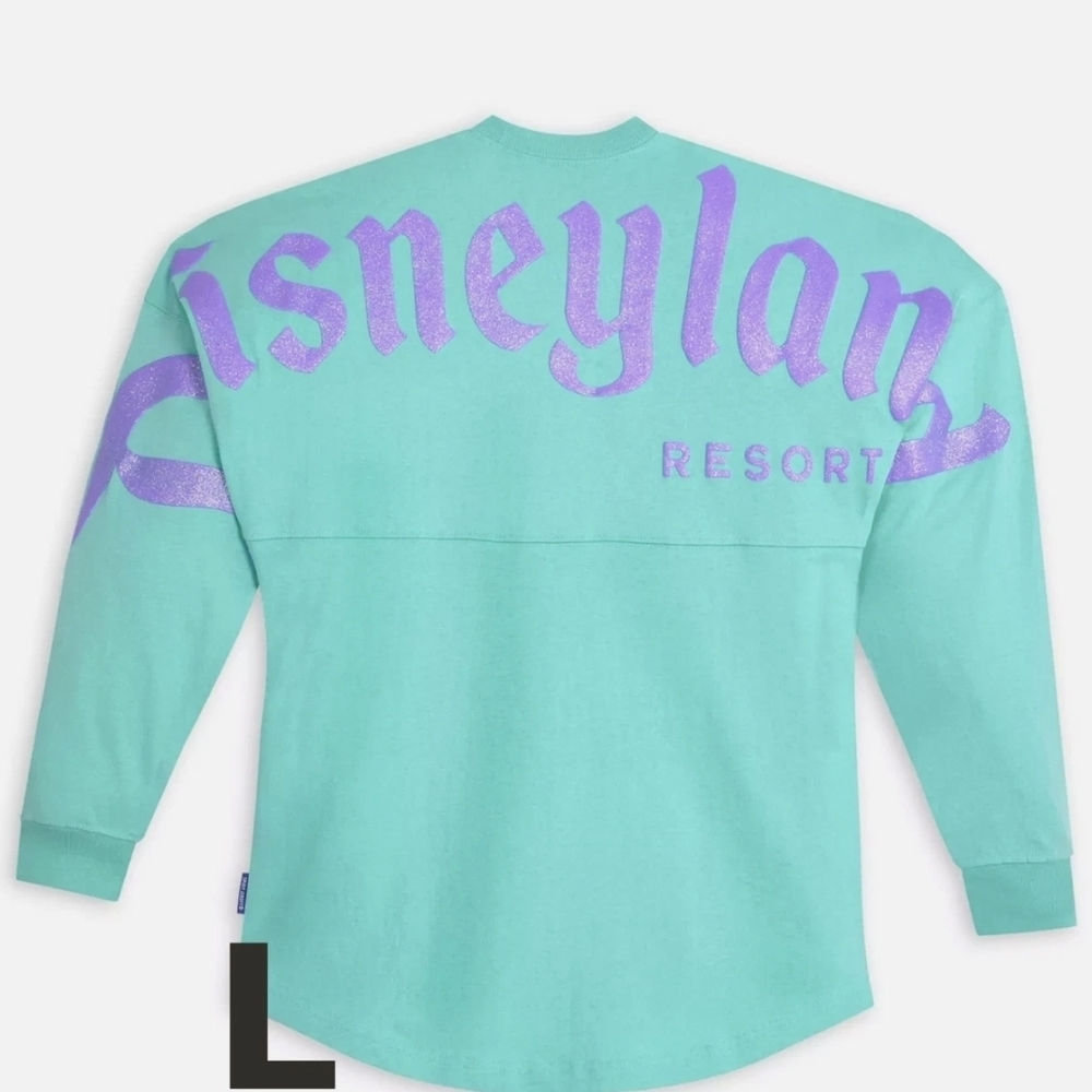 Disney Parks Disneyland Resort Spirit Jersey Adult Mermaid Teal and Purple